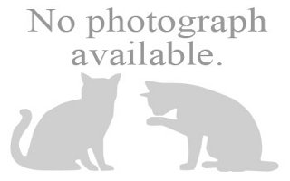 .jpg Leon County Humane Society