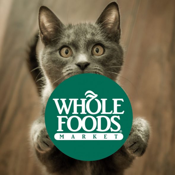 Kitten and Whole Foods logo