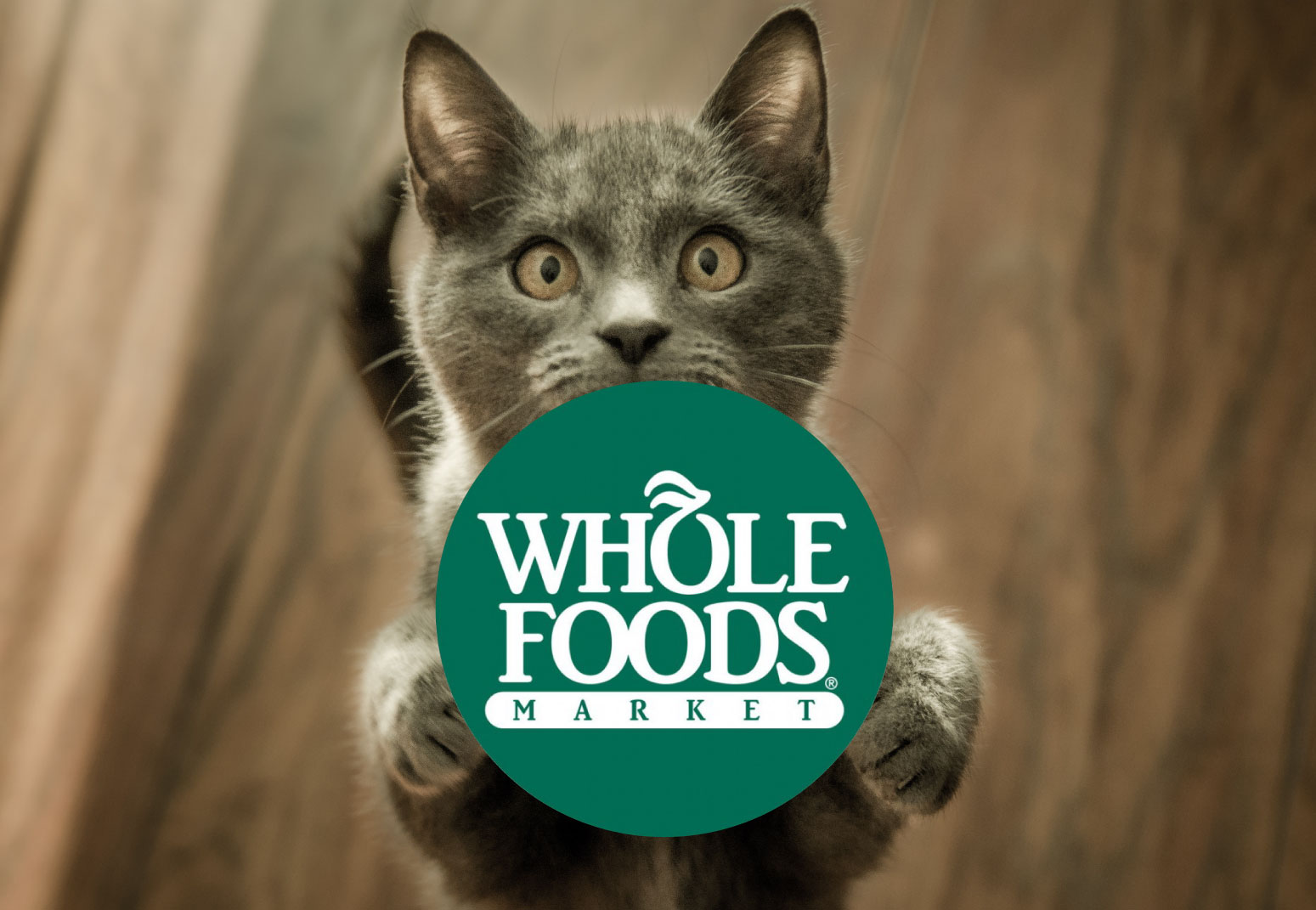 Kitten and Whole Foods logo