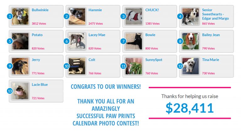Paw Prints Calendar Photo Contest Reaches Its End | Leon County Humane ...
