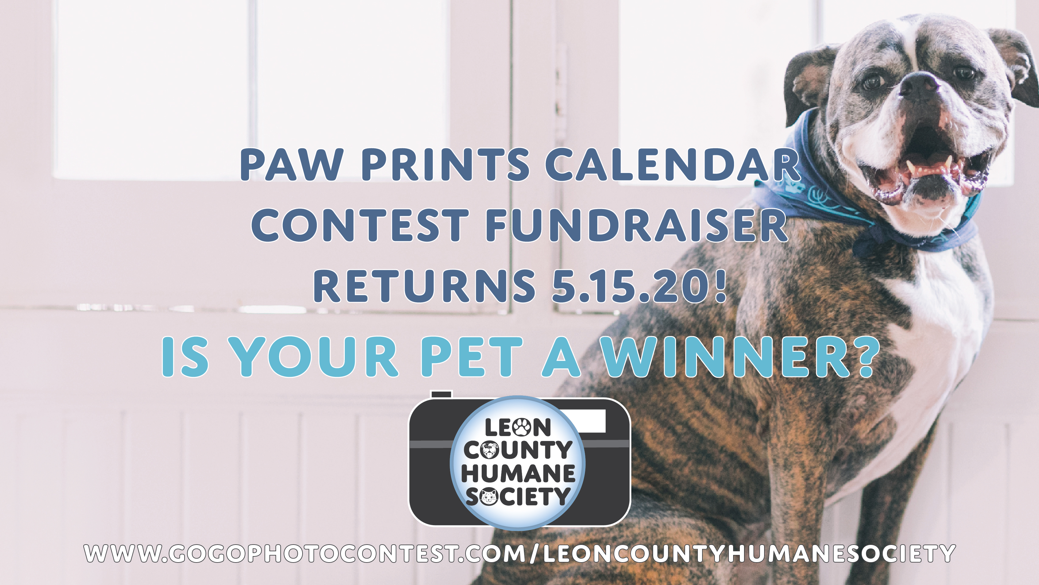 Paw Prints Calendar Contest Returns! | Leon County Humane Society