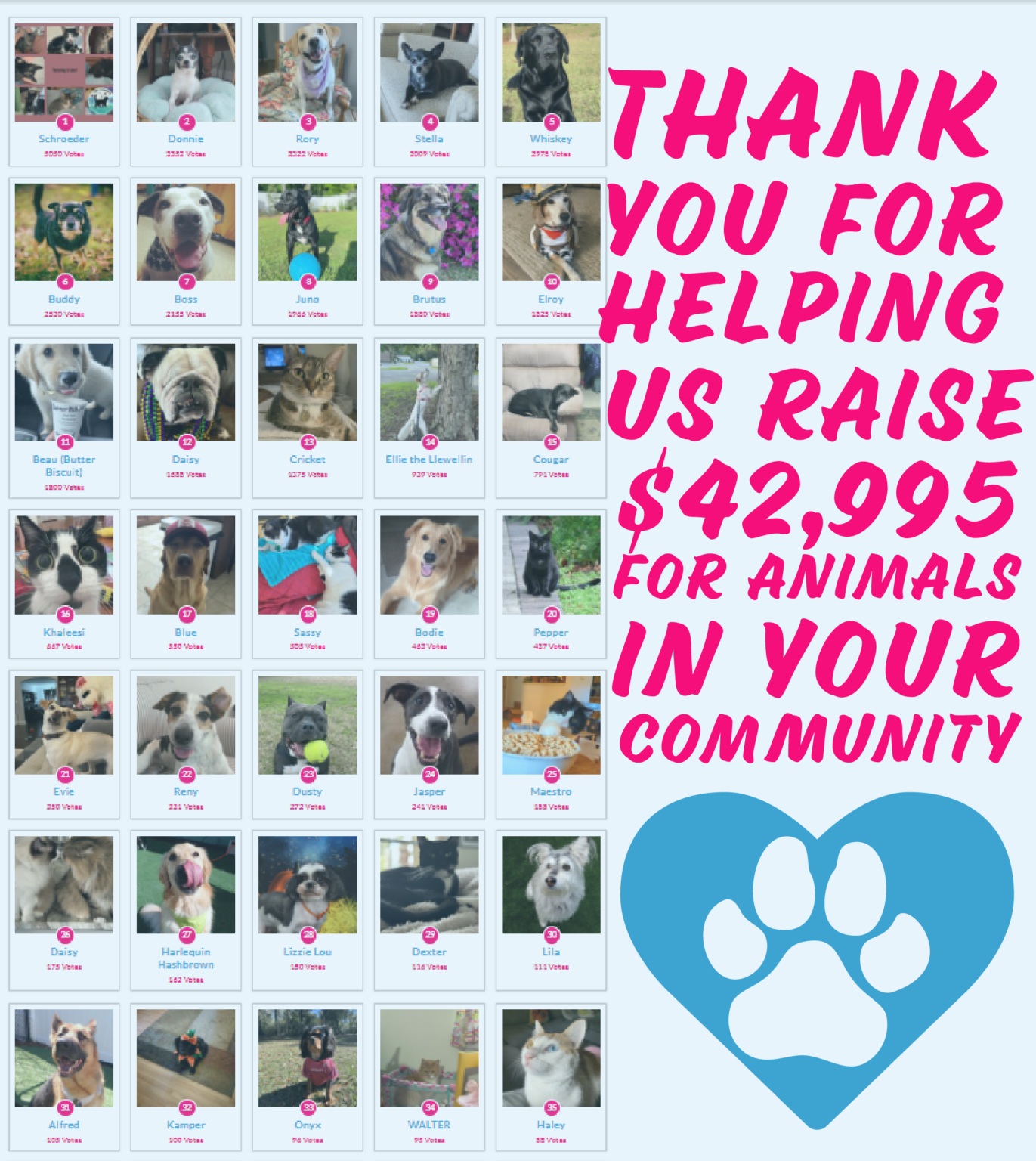 Paw Prints Calendar Contest PreOrder! Leon County Humane Society